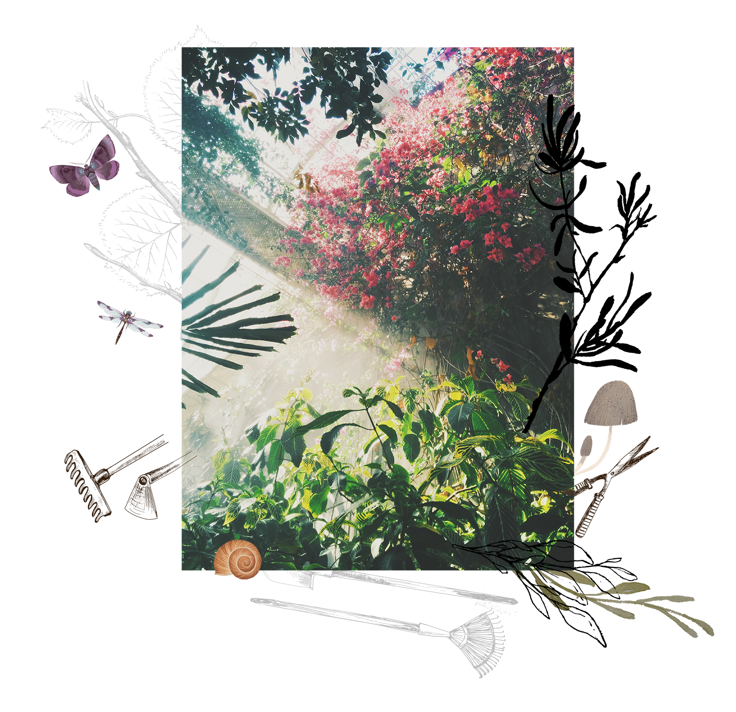 San Jose Tree Service Tree, Arborist, & Landscaping Services
